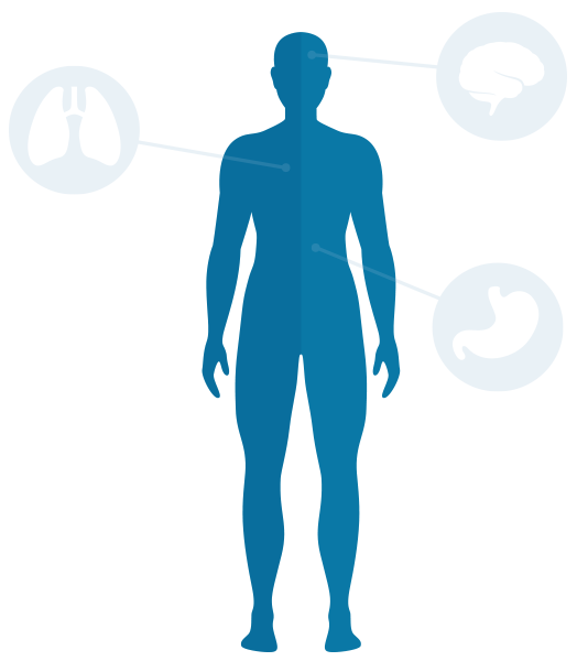 Nutrition Response Testing