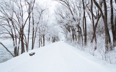 Surviving the Snow Without an Injured Back