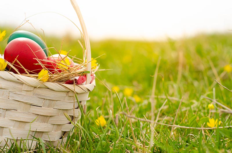 Natural Easter Egg Dye