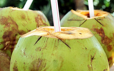 Coconut Water – They Aren’t All the Same