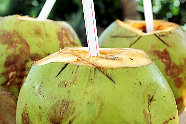 Coconut Water – They Aren’t All the Same