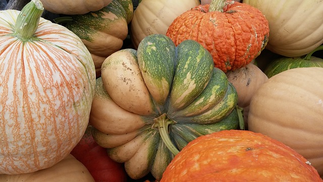 Pumpkins: A Harvest of Nutrients