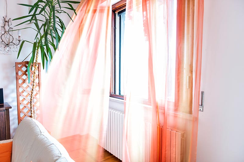 fresh-air-indoors healthy snack foods