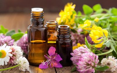 How Do We Use Essential Oils at The Well of Life Center?