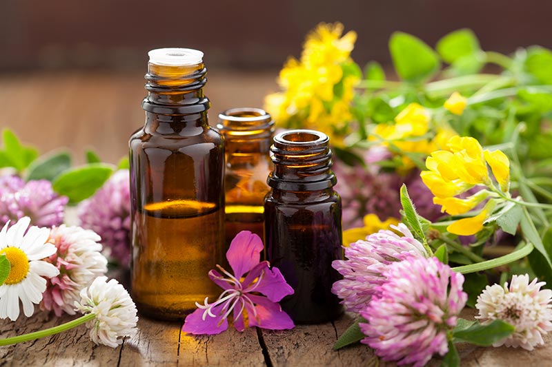 How Do We Use Essential Oils at The Well of Life Center?