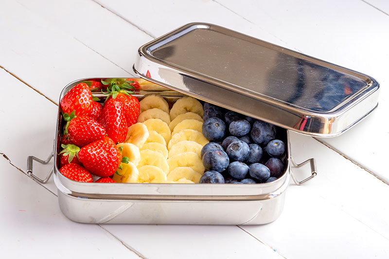 Stainless Steel Food Container for Healthy Leftovers