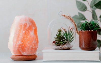 Are You Using Your Salt Lamp Correctly?