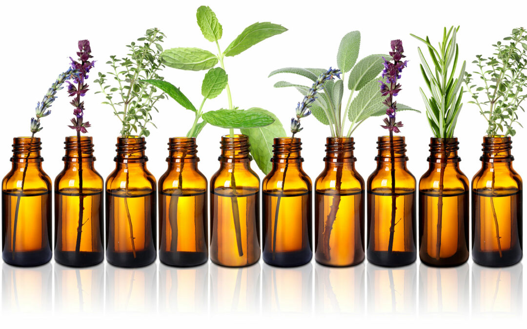 How Do We Use Essential Oils at The Well of Life Center?