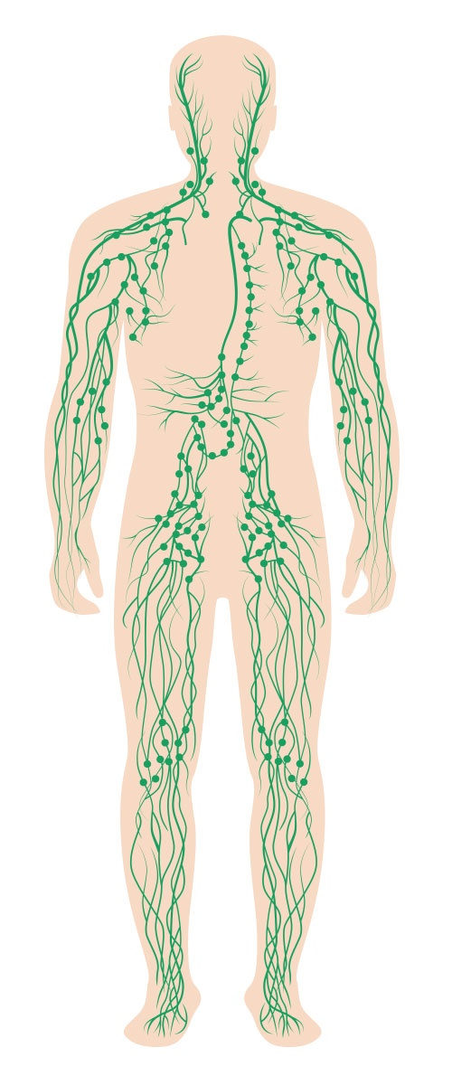 Electro Lymphatic Therapy