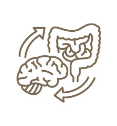 Gut Brain Connection