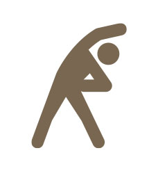 Movement, Muscle & Body Composition