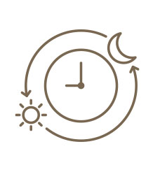 Sleep Quality & Daily Rhythms